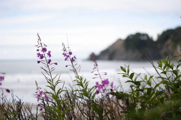 This Little Known State Park Is One Of The Most Stunning Places On The Oregon Coast