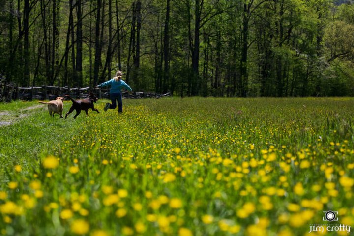 It’s Impossible Not To Love This Breathtaking Wildflower Trail In North Carolina
