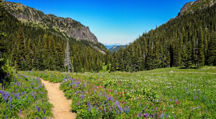 Washington Is Home To One Of The Best Hikes In The World