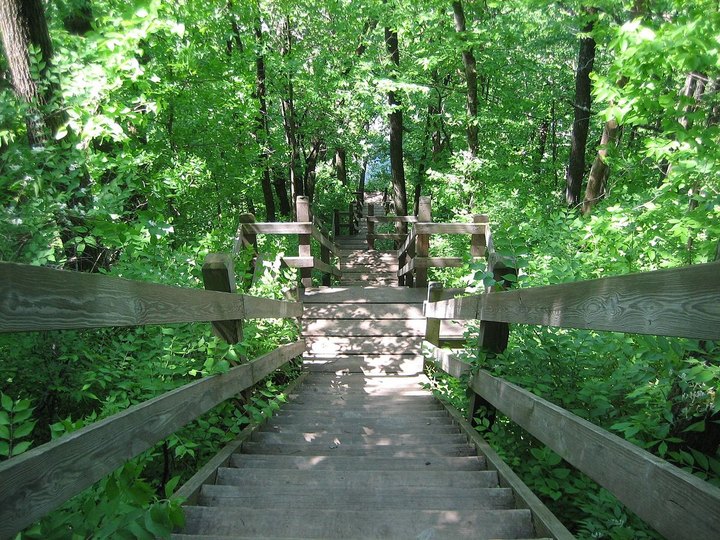 This Just Might Be The Most Underrated Hike In All Of Illinois