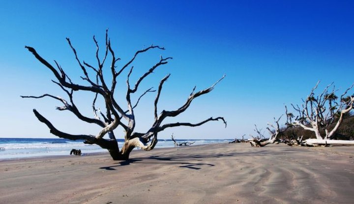 The Top Secret Beach In South Carolina That Will Make Your Summer Complete