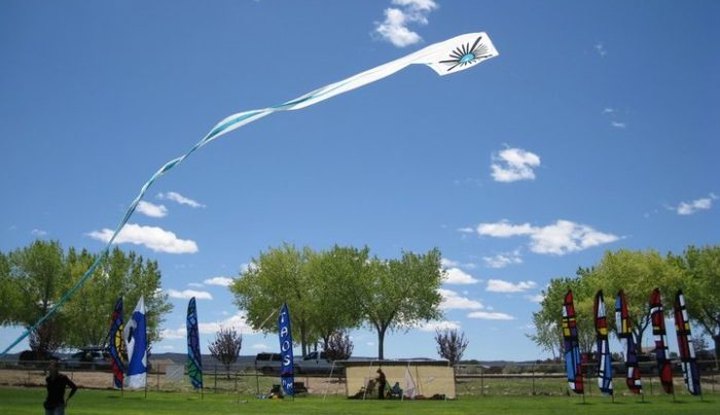 This Incredible Kite Festival In New Mexico Is A Must-See