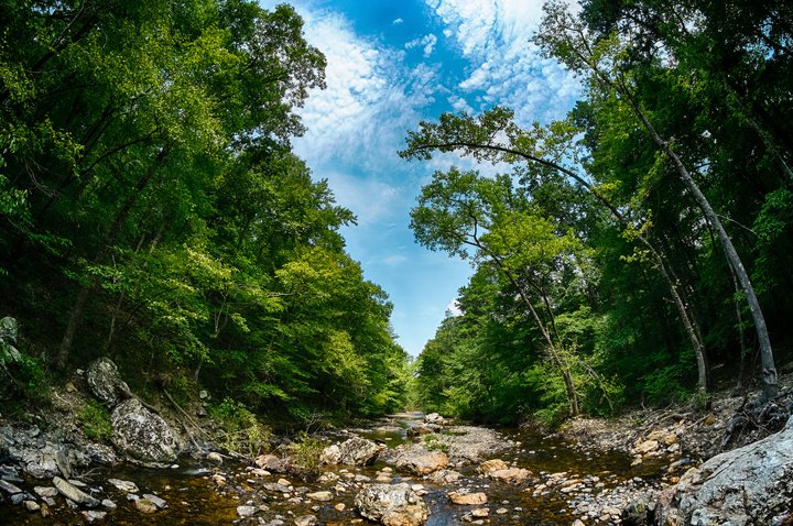 The Hiking Trail Hiding In Arkansas That Will Transport You To Another World