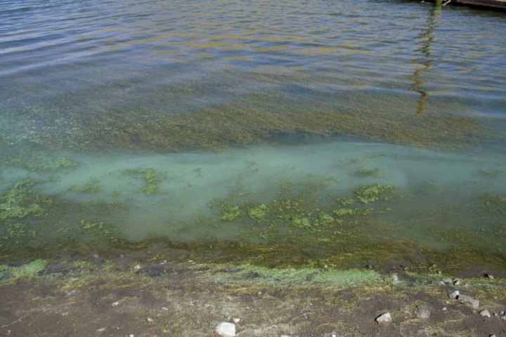 You May Not Want To Swim In These 3 Indiana Lakes This Summer Due To A Dangerous Discovery