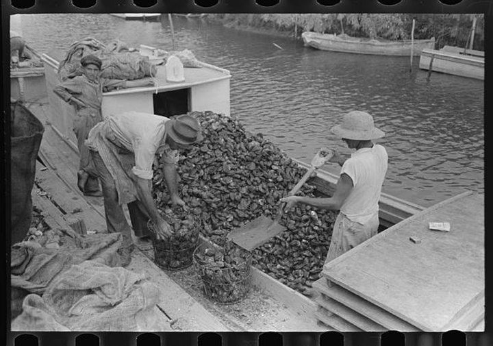 These 13 Rare Photos Show Louisiana's Oyster History Like Never Before