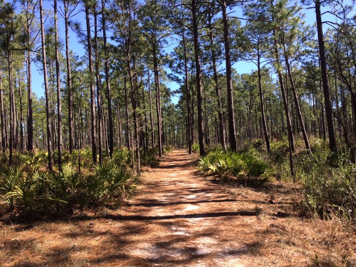 This Just Might Be The Most Underrated Hike In All Of Mississippi