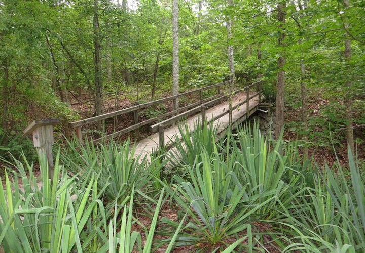 A Hike Along This Serene Trail Hiding In Alabama Is The Perfect Way To Spend A Summer Day