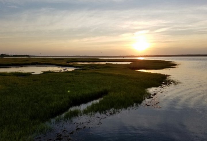 Take This Waterfront Safari In New Jersey For The Perfect Summer Day Trip