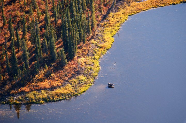 Take The River Trip Of A Lifetime In Right Here In Alaska