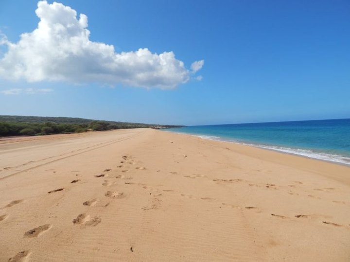 The Top Secret Beach In Hawaii That Will Make Your Summer Complete