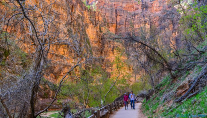 Here Are The 9 Best Hikes In Utah's Zion National Park