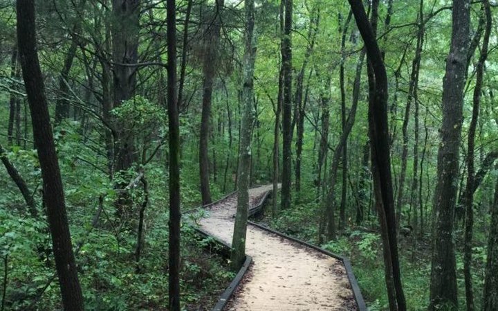 The Boardwalk Trail In Kentucky You'll Want To Explore Before Summer Ends