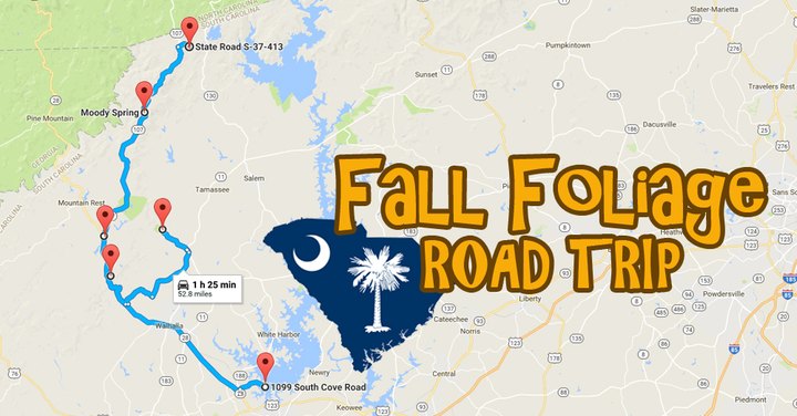 This Dreamy Road Trip Will Take You To The Best Fall Foliage In All Of South Carolina