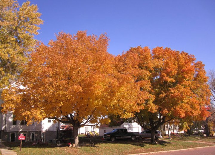 Here Are The Best Times And Places To View Fall Foliage In Nebraska
