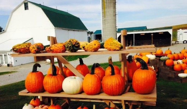 10 Picture Perfect Fall Day Trips To Take In Ohio