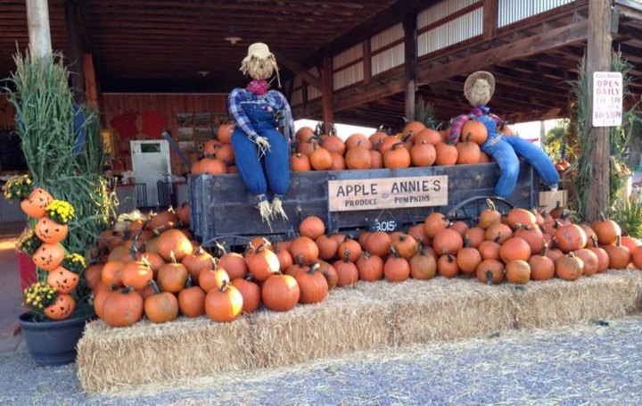 11 Harvest Festivals In Arizona That Will Make Your Autumn Awesome