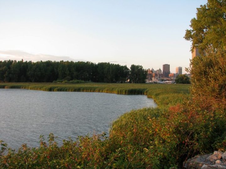 Most People Don't Realize This Enchanting Natural Oasis In Buffalo Even Exists