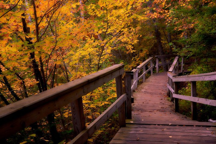 11 Short And Sweet Fall Hikes In Minnesota With A Spectacular End View