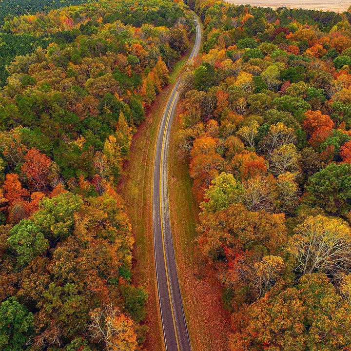 11 Picture Perfect Fall Day Trips To Take In Mississippi