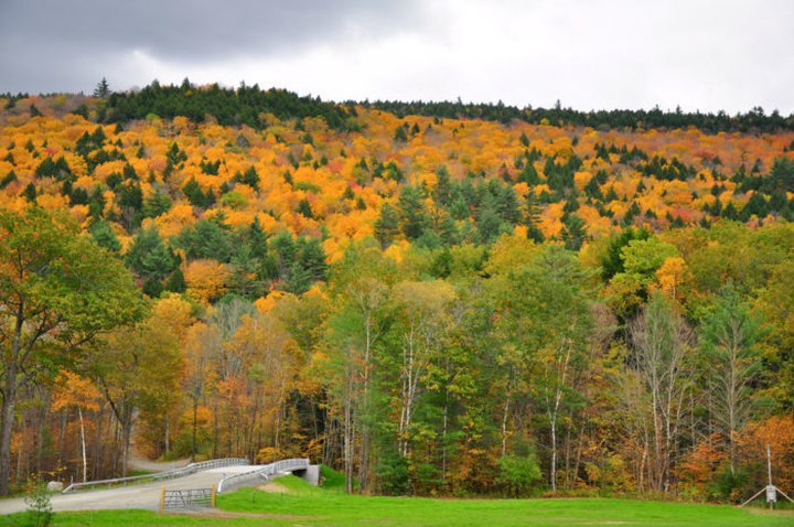 The Best Times And Places To View Fall Foliage In Massachusetts