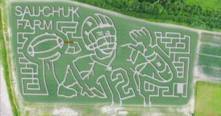 Get Lost In These 6 Awesome Corn Mazes Around Boston This Fall