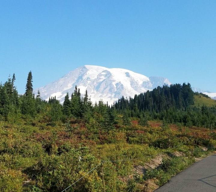 7 Short And Sweet Fall Hikes In Washington With A Spectacular End View