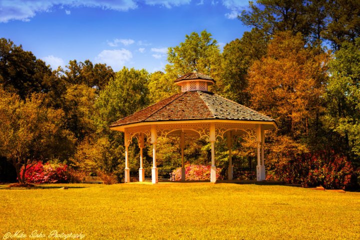 The Best Times And Places To View Fall Foliage In Alabama