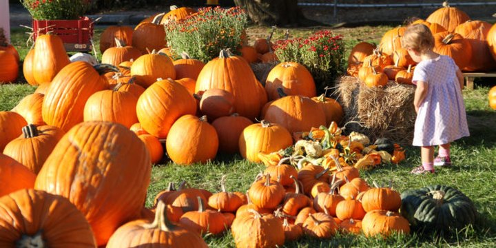8 Fall Festivals In Kansas That Will Make Your Autumn Awesome