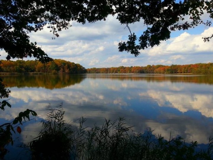 The One Hikeable Pond In Delaware That's Simply Breathtaking In The Fall