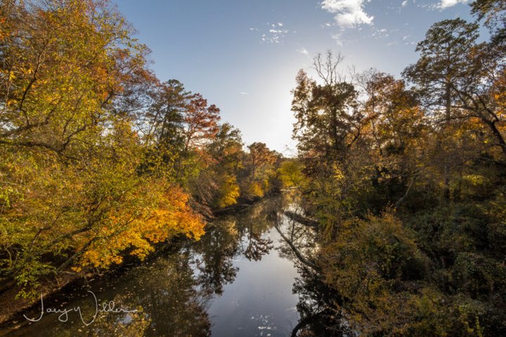 The One Hikeable Creek In Mississippi That's Simply Breathtaking In The Fall