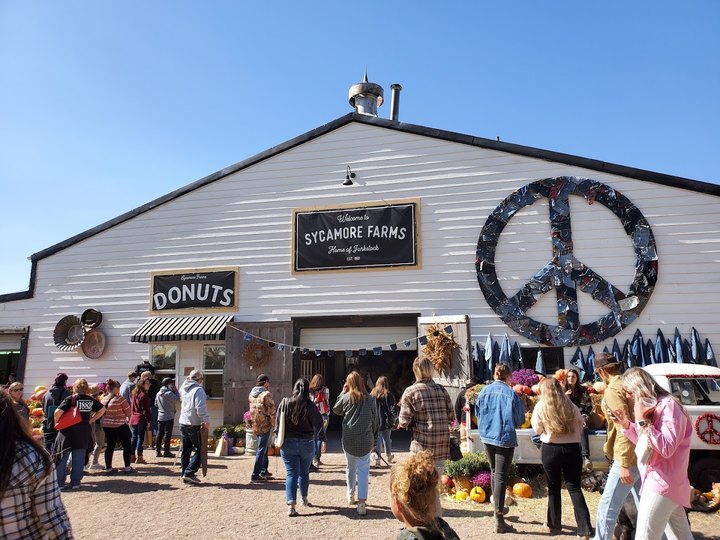 You Could Easily Spend All Weekend At This Enormous Nebraska Flea Market