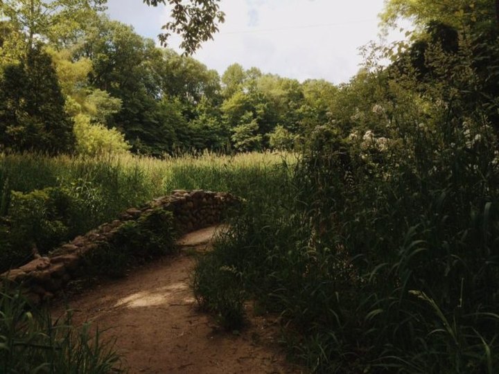 The Hiking Trail Hiding In Indianapolis That Will Transport You To Another World