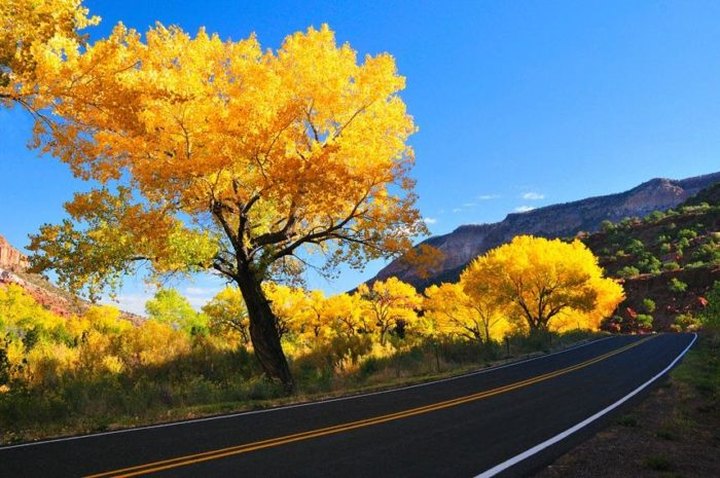 12 Picture Perfect Fall Day Trips To Take In New Mexico