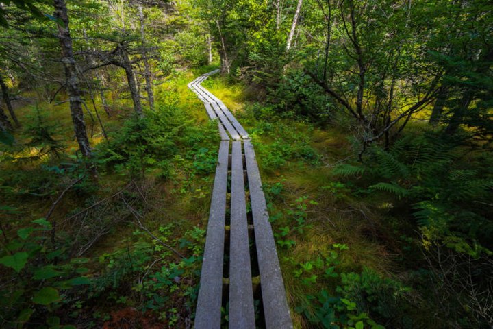 This Secret Maine Hike Might Be The Most Gorgeous In America
