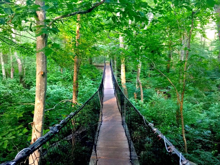The Stomach-Dropping Suspended Bridge Walk You Can Only Find In Massachusetts