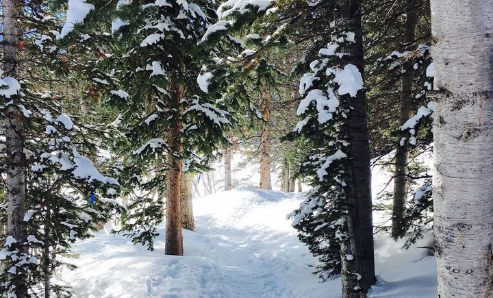 The Absurdly Beautiful Winter Hike In Utah That Will Make You Feel At One With Nature