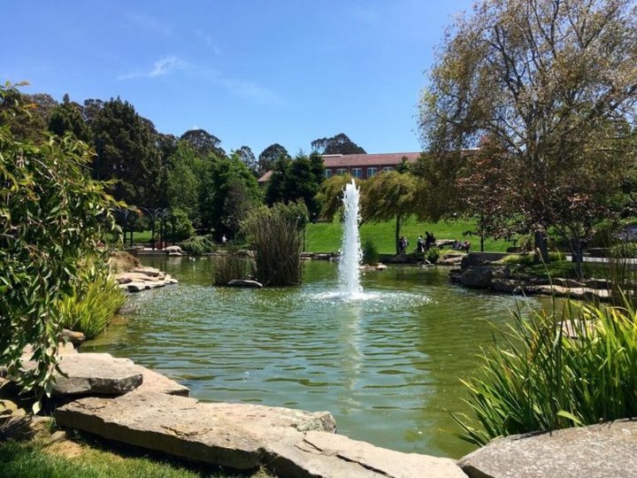 It's Impossible Not To Love This Charming San Francisco Park