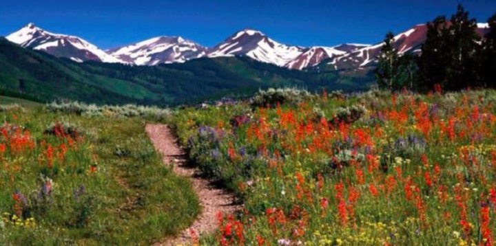 You'll Want To Add This Enchanting Wildflower Trail To Your Hiking Bucket List