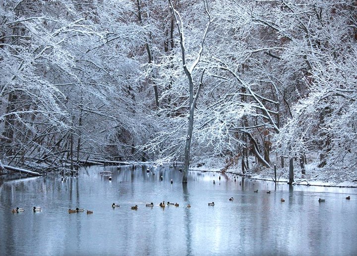 The Enchanting Cincinnati Lake You'll Want To Visit This Winter