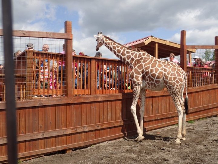 There's A Wildlife Park In New York That's Perfect For A Family Day Trip