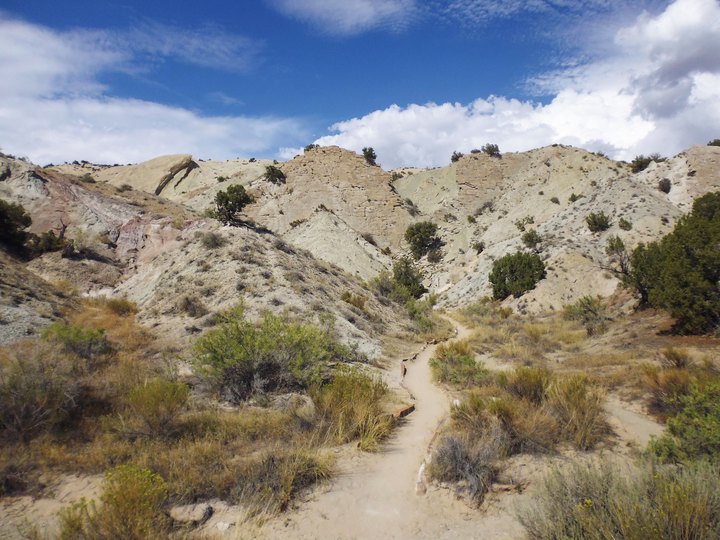 Few People Know About this Fossil Trail Hiding Right Here In Utah