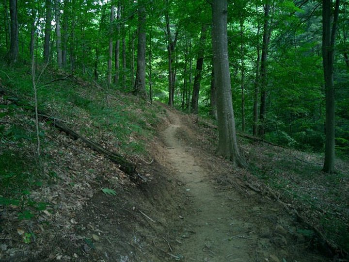 The One Hike In Indiana That Makes You Feel Like You've Landed In A Jungle