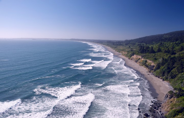 The Amazing Sand Dollar Beach Every Northern Californian Will Want To Visit