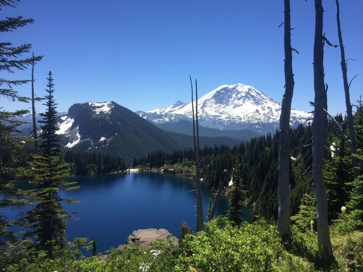 We Found The 8 Most Magical Hiking Trails In Washington For Spring