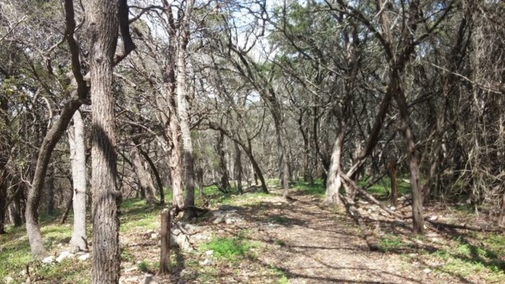 Not Many People Know About This Beautiful Hiking Trail Hiding In South Austin