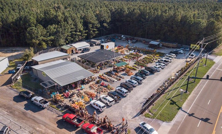 A Trip To This Gigantic Indoor Farmers Market in Mississippi Will Make Your Weekend Complete