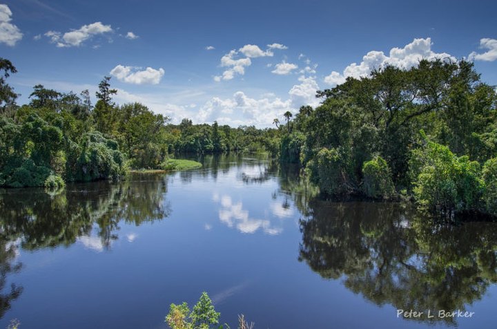 You'll Love This Overnight Adventure In Florida When You Can Camp Right On The River