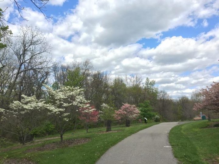 The Secret Garden Hike Near Cincinnati Will Make You Feel Like You’re In A Fairytale