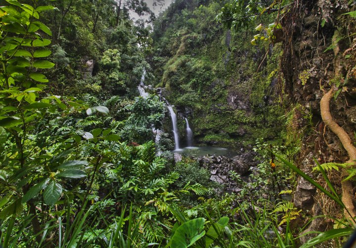 The Hike To This Gorgeous Hawaii Swimming Hole Is Everything You Could Imagine