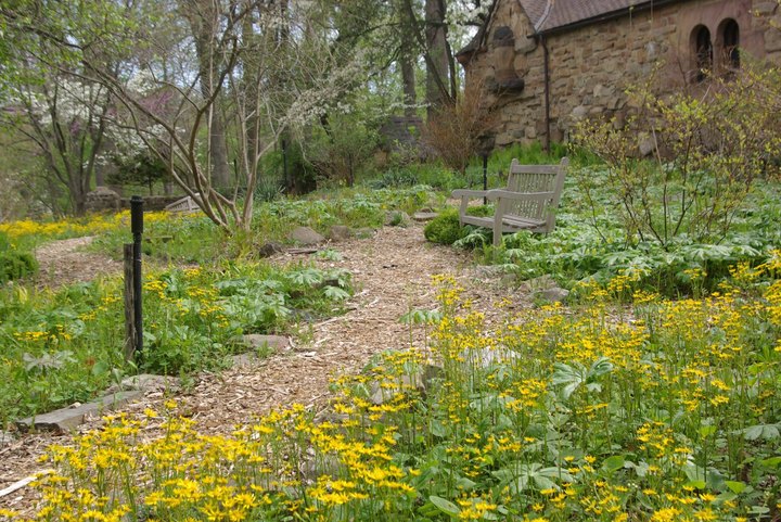 The Secret Garden Hike In New Jersey Will Make You Feel Like You’re In A Fairytale